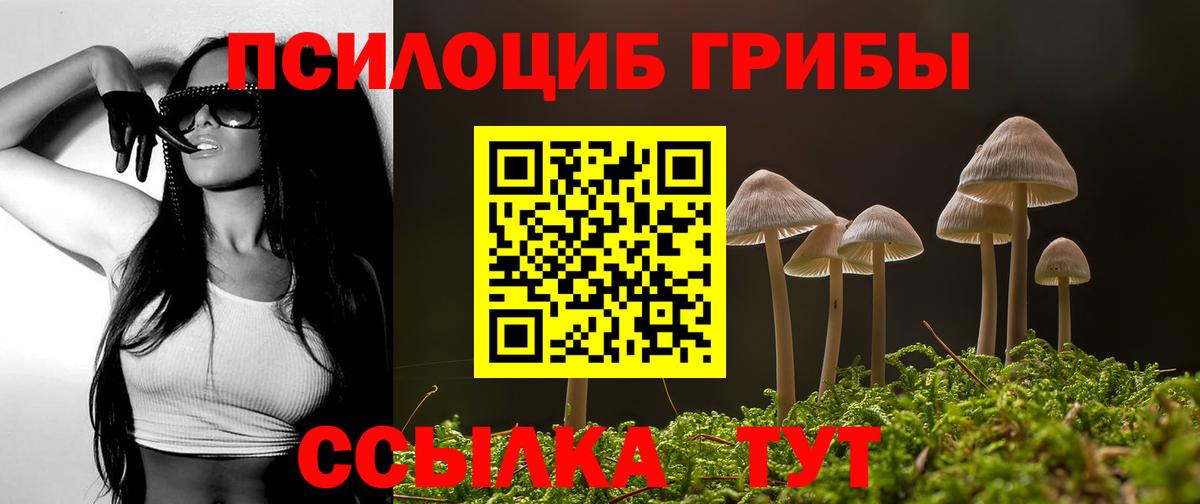Псилоцибиновые грибы мицелий Амурск